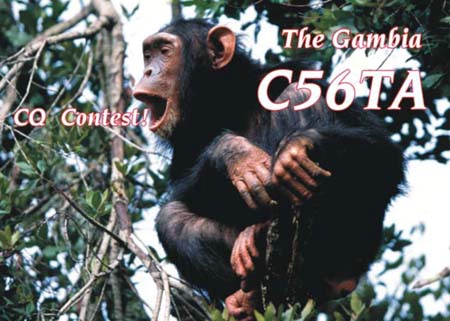 Funny QSL c56ta