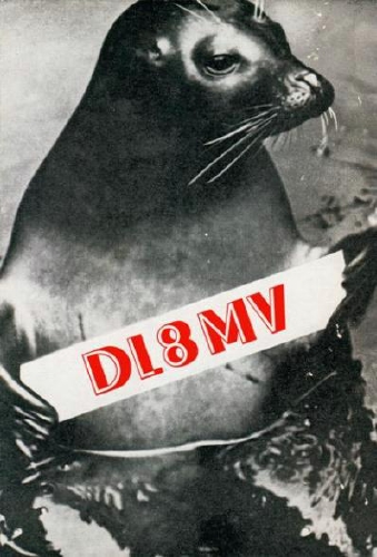 Funny QSL dl8mv