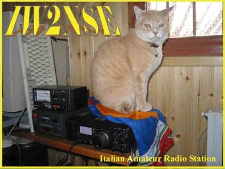 Funny QSL iw2nse