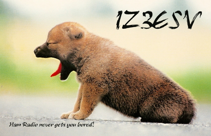 Funny QSL iz3esv
