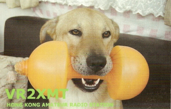 Funny QSL vr2xmt