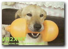 Funny QSL vr2xmt